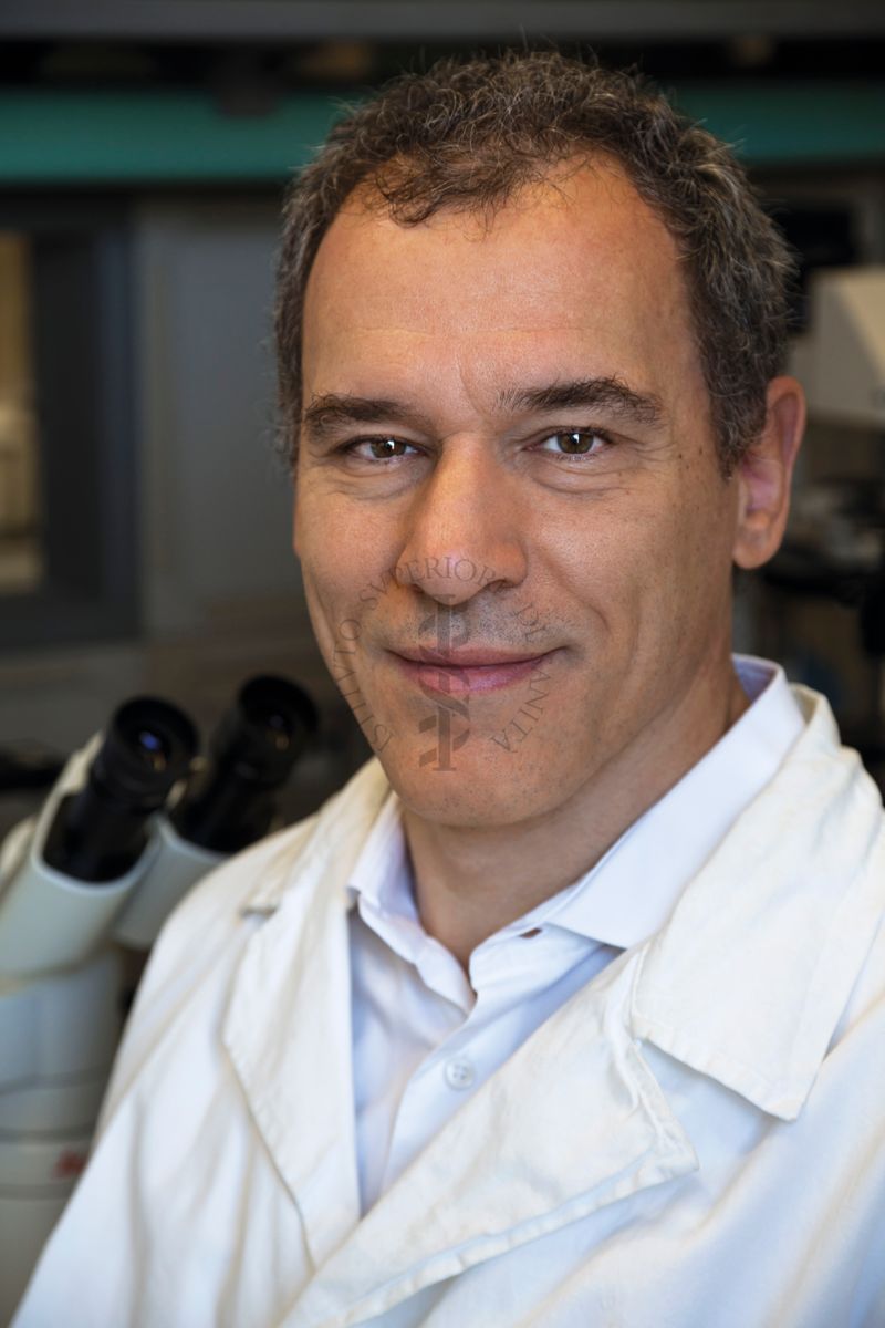 Mauro Biffoni, Direttore del Dipartimento di Oncologia e Medicina Molecolare