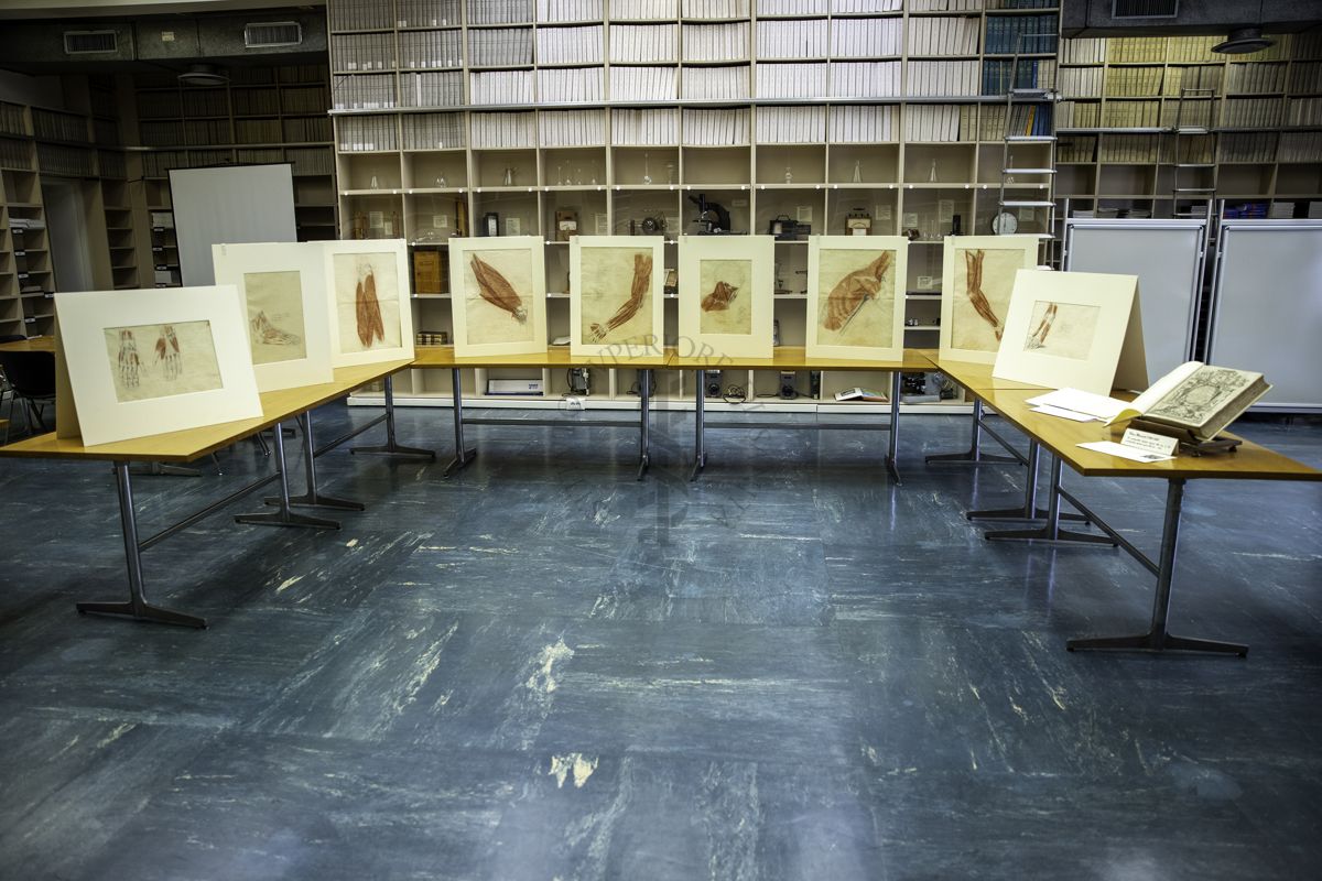 Esposizione nella sala lettura della Biblioteca dell'ISS delle tavole anatomiche realizzate in età giovanile dallo scultore Antonio Canova (1757-1822)