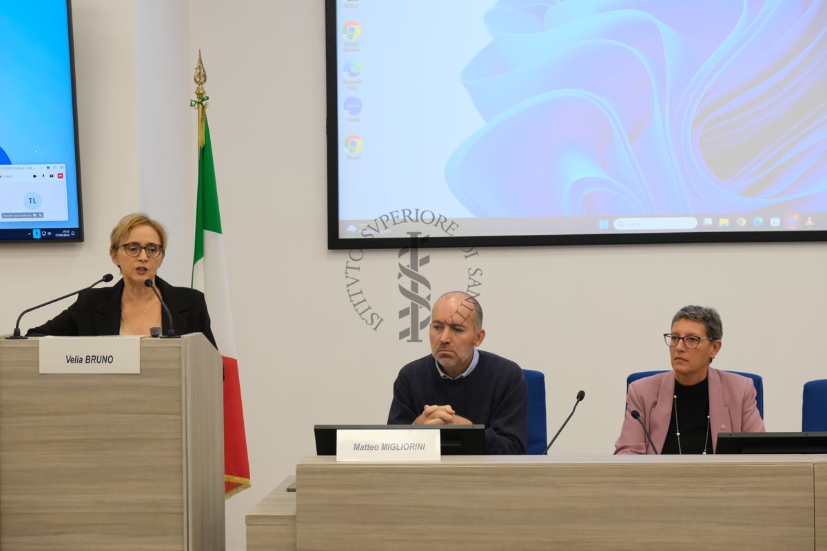 Intervento della Dr.ssa Bruno Velia (Direttore Centro Nazionale Clinical Governance - Istituto Superiore di Sanità); al suo fianco il Dr. Migliorini Matteo (Coordinatore Nazionale gruppo GReSS FNO TSRM e PSTRP) e la Dr.ssa Calandra Teresa (Presidente FNO TSRM e PSTRP)