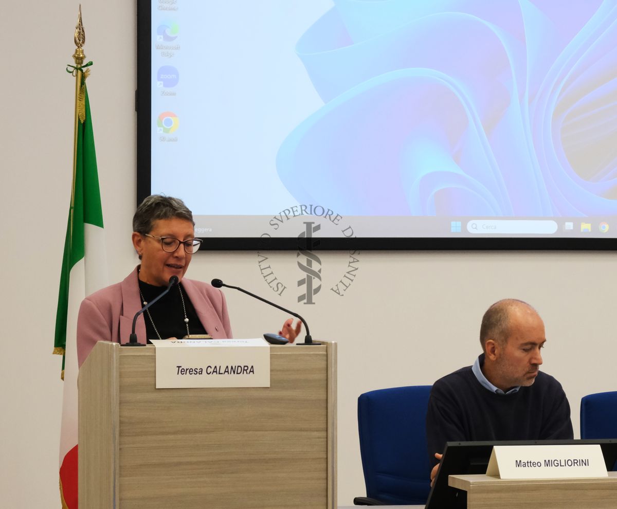 La Dottoressa Calandra Teresa (Presidente FNO TSRM e PSTRP) durante il suo intervento