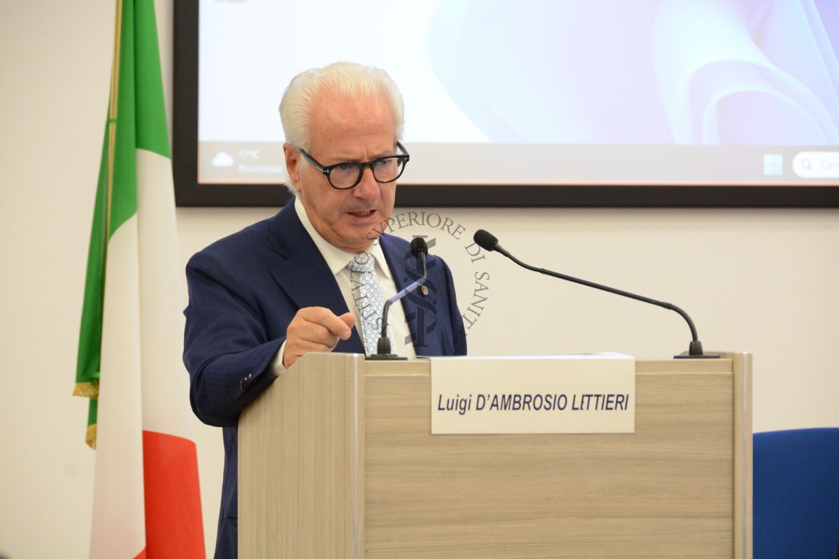 Intervento del Prof. Luigi D'Ambrosio Littieri