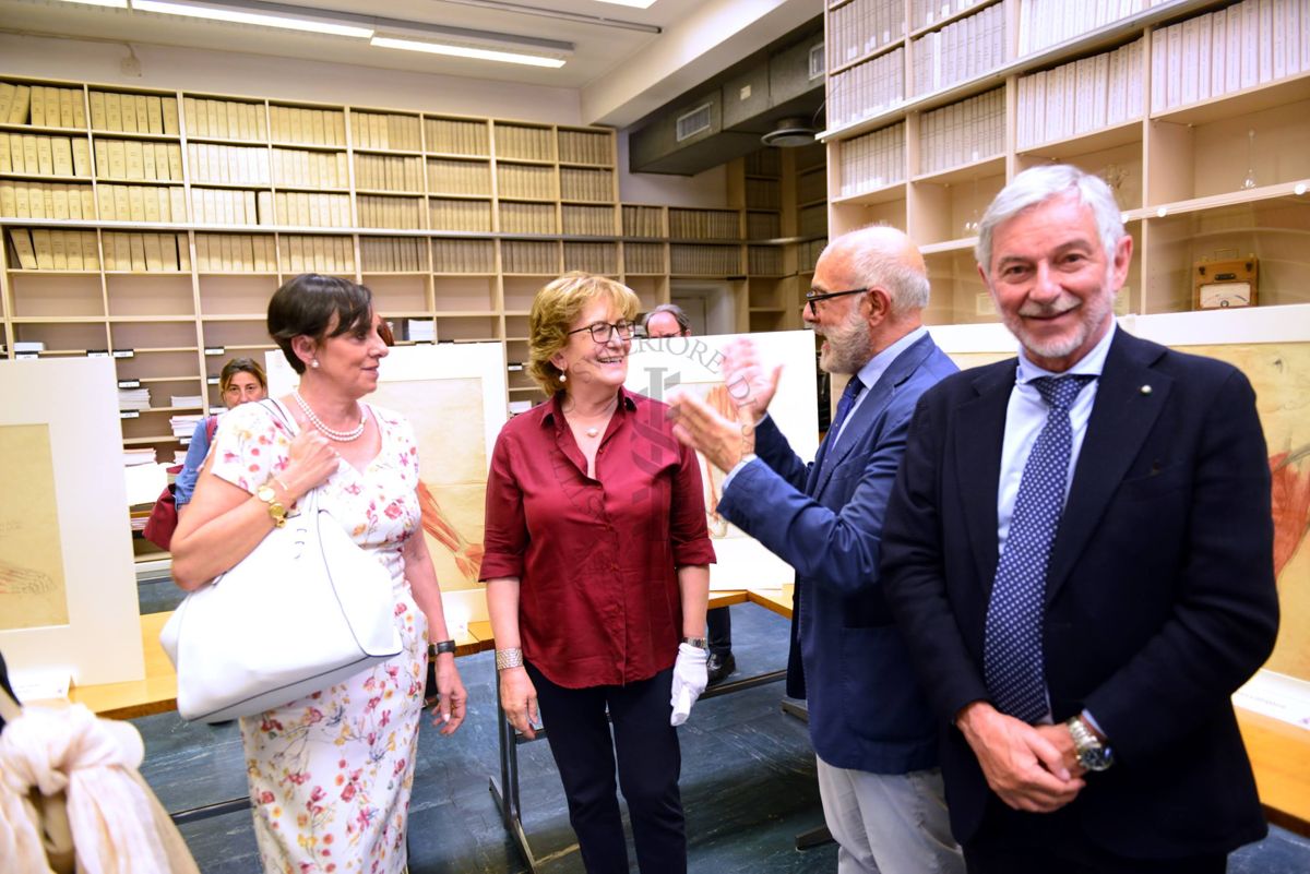 Da sinistra a destra, la Prof.ssa Roberta Siliquini, Presidente della Società Italiana d'Igiene, la Dott.ssa Maria Alessandra Falcone, Coordinatrice del Fondo Rari della Biblioteca dell'ISS, il Dott. Antonio Mistretta, Responsabile del Servizio Comunicazione Scientifica dell'Istituto Superiore di Sanità e il Prof. Gabriele Pellissiero, Presidente Nazionale AIOP (Associazione Italiana Ospedalità Privata)