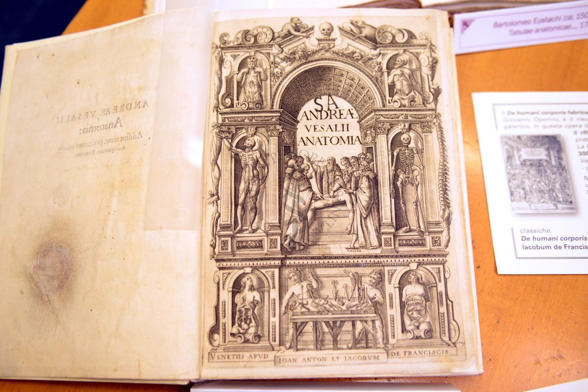 Frontespizio dell'Anatomia di Andrea Vesalio (1604)