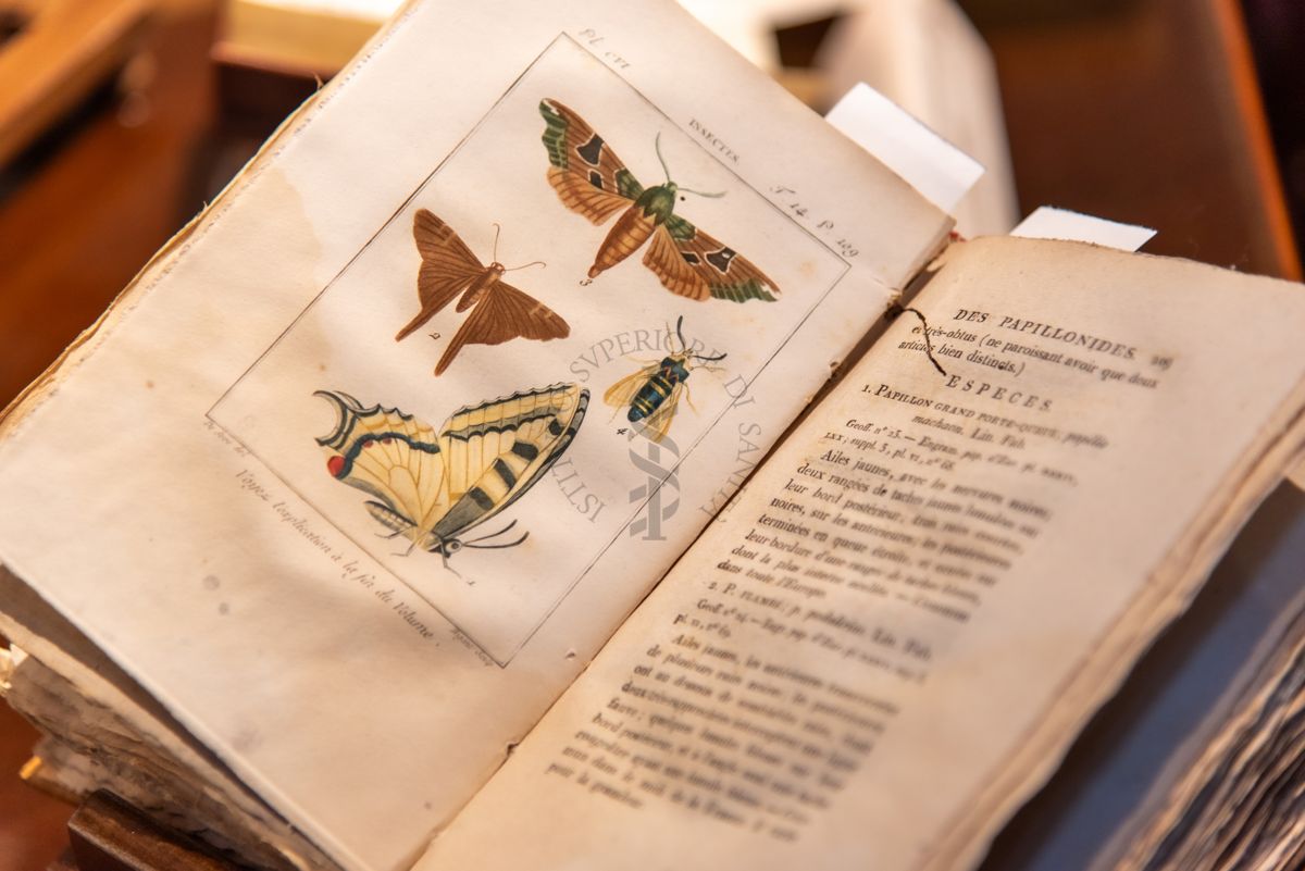 Uno dei libri del Fondo Rari della Biblioteca