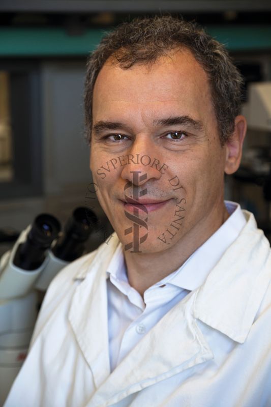 Mauro Biffoni, Direttore del Dipartimento di Oncologia e Medicina Molecolare