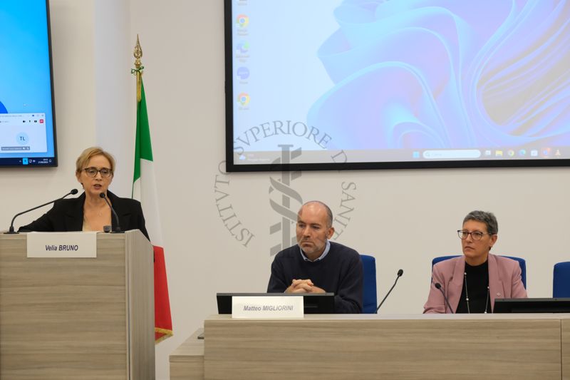 Intervento della Dr.ssa Bruno Velia (Direttore Centro Nazionale Clinical Governance - Istituto Superiore di Sanità); al suo fianco il Dr. Migliorini Matteo (Coordinatore Nazionale gruppo GReSS FNO TSRM e PSTRP) e la Dr.ssa Calandra Teresa (Presidente FNO TSRM e PSTRP)