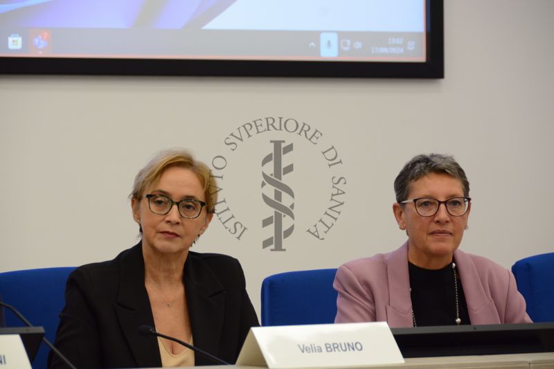 Intervento della Prof. Velia Bruno (Direttore Centro Nazionale Clinical Governance - Istituto Superiore di Sanità)