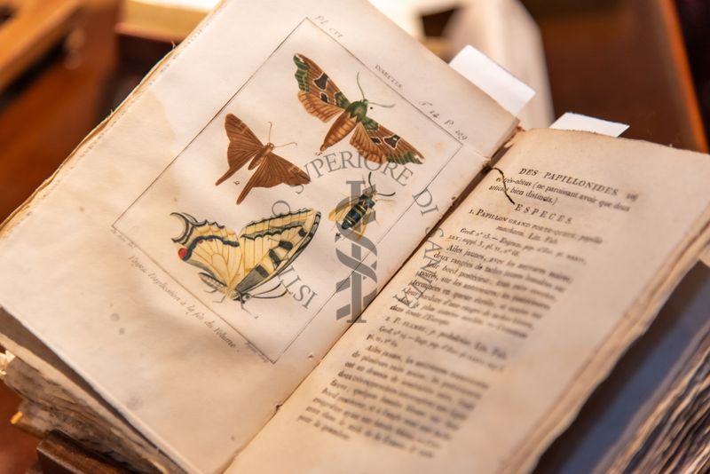 Uno dei libri del Fondo Rari della Biblioteca