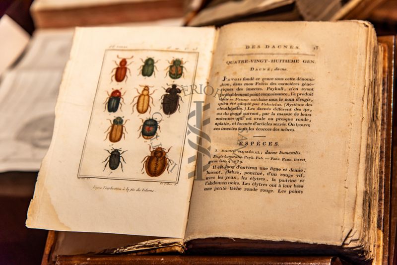 Uno dei libri del Fondo Rari della Biblioteca