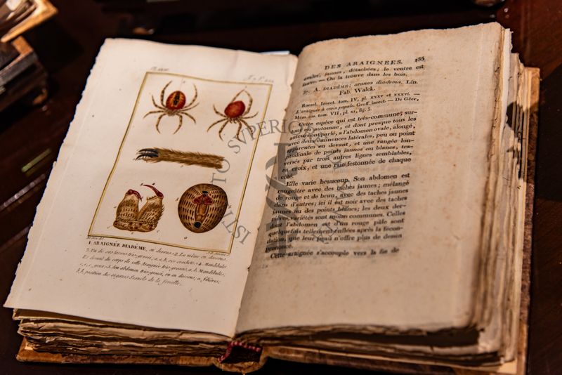 Uno dei libri del Fondo Rari della Biblioteca