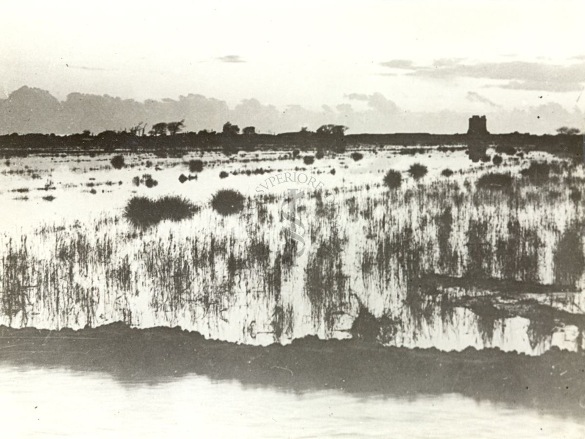 Immagine della  palude pontina. Terracina (Littoria).