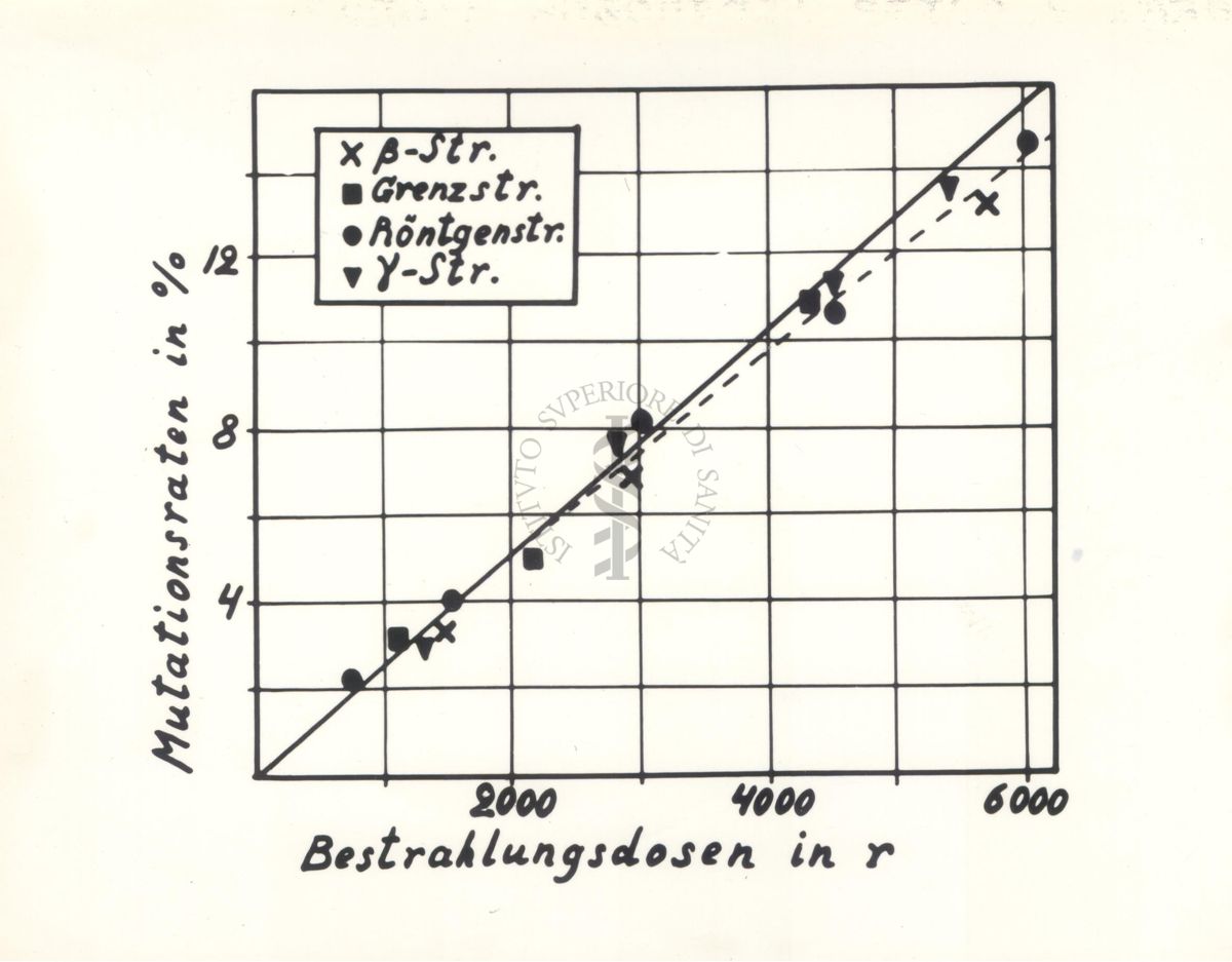 Grafico sul confronto dell'induzione di mutazioni per mezzo di Raggi Beta del Radio