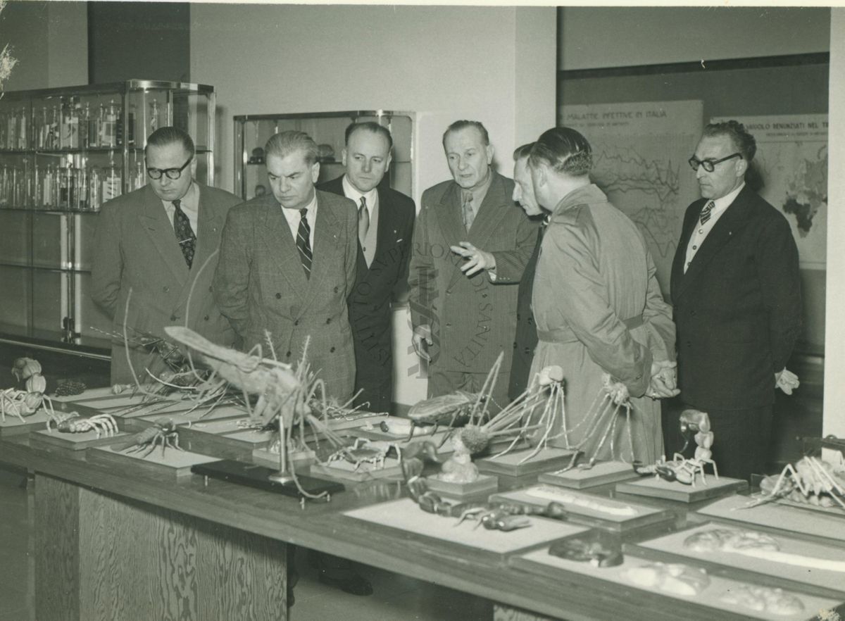 Foto di alcuni Ufficiali Veterinari francesi in visita presso l'istituto Superiore di Sanità davanti ad un tavolo su cui si trovano scheletri fossili