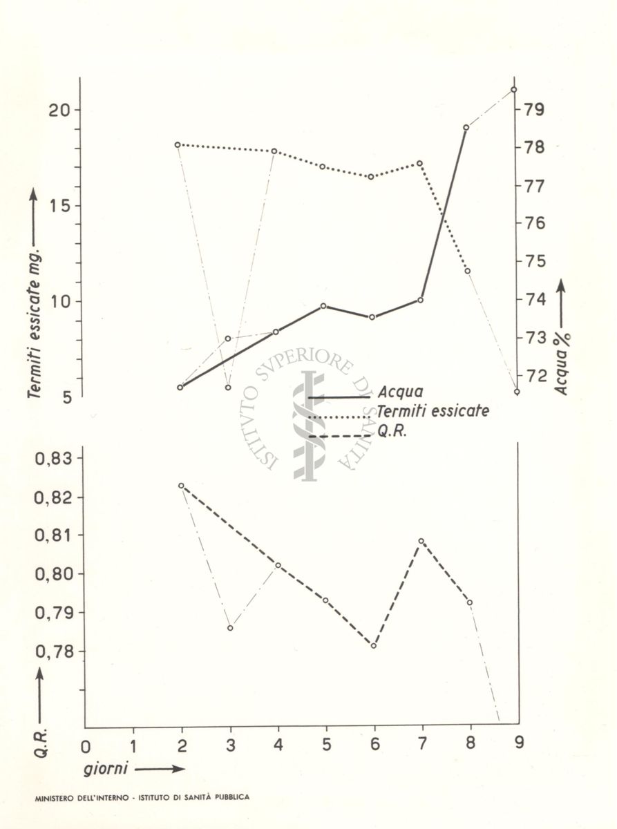 Diagramma che mostra il tracciato delle micro respirazioni delle termiti