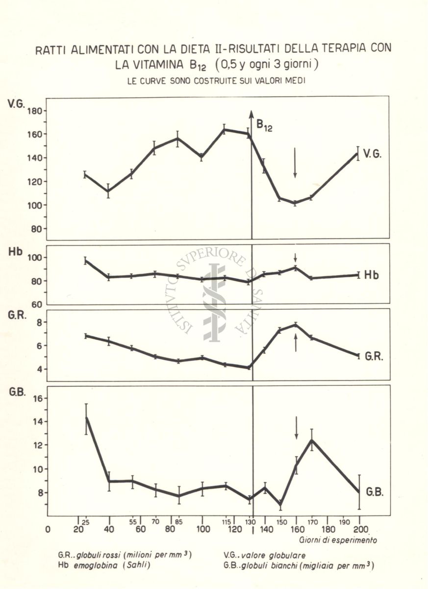 Tracciati che mostrano i risultati della terapia con Vitamina B.12