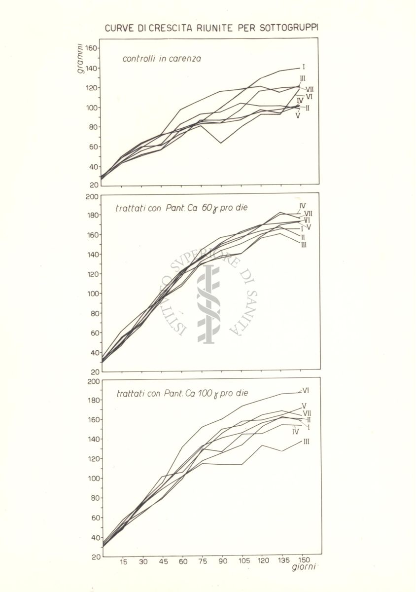 Grafici che mostrano le curve di crescita dei ratti trattati con acido pantotenico, riunite per sottogruppi