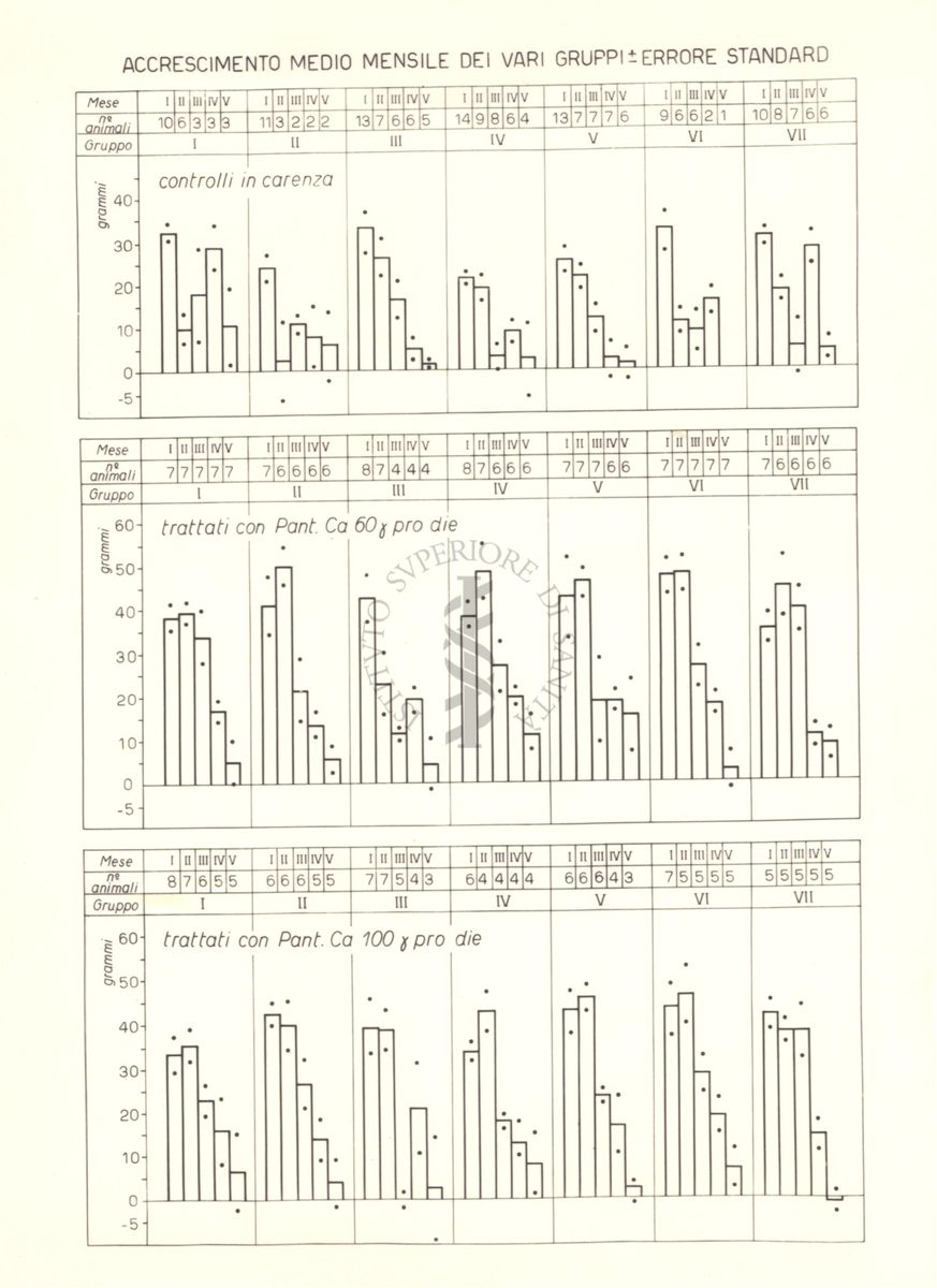 Grafici che mostrano l'accrescimento medio mensile dei ratti trattati con acido pantotenico