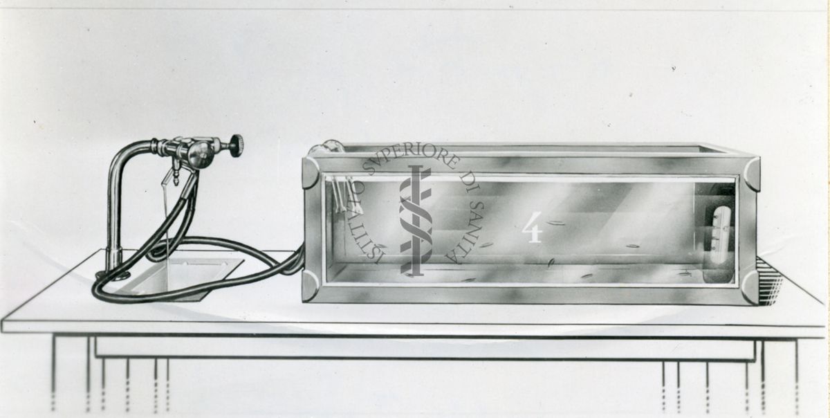 Dispositivo per ossigenare l'acqua mediante camera d'aria. Esperimenti sulla tossicità del verde di Parigi