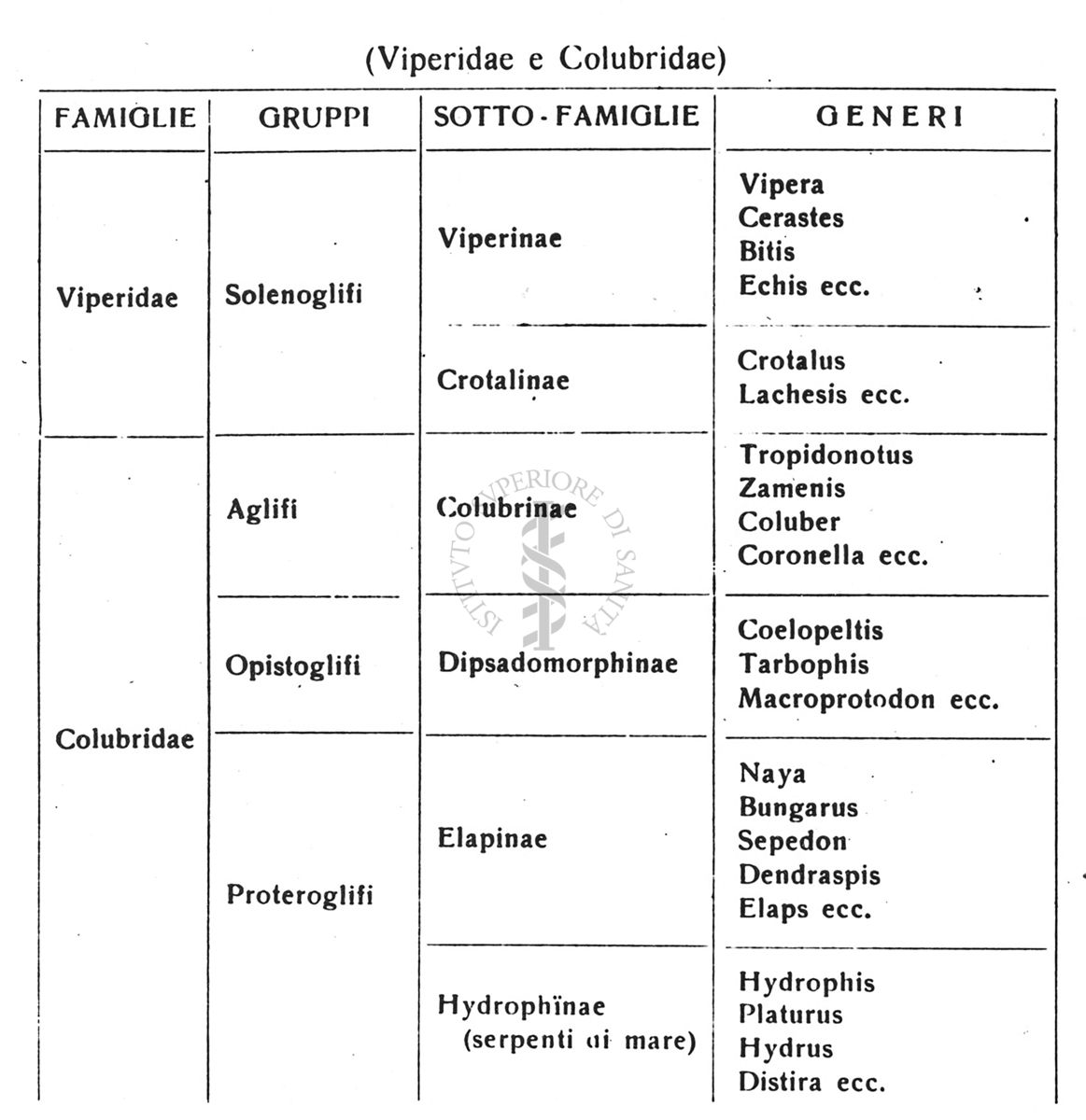 Tabella qualificativa dei serpenti velenosi delle Colonie Africane