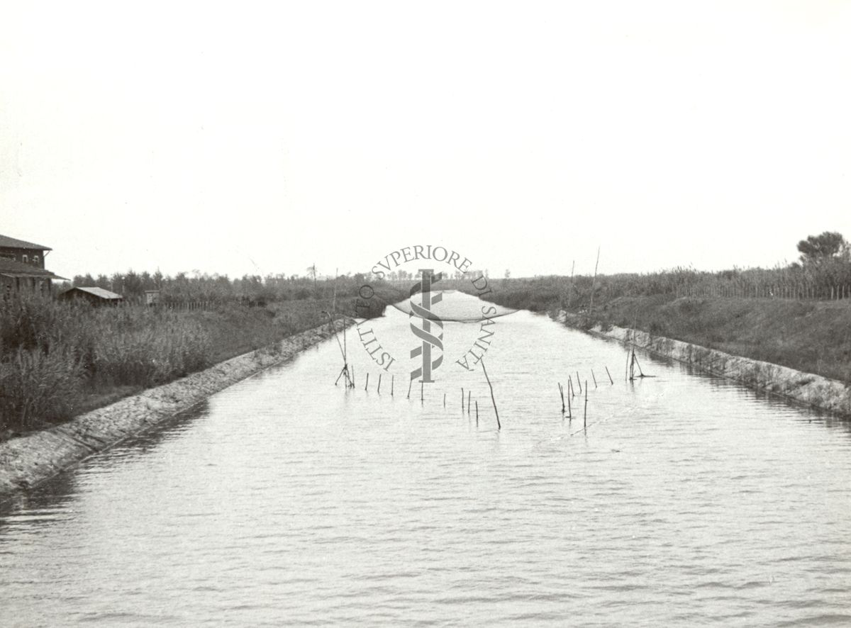 Fiume Sisto, nell'ultimo tratto