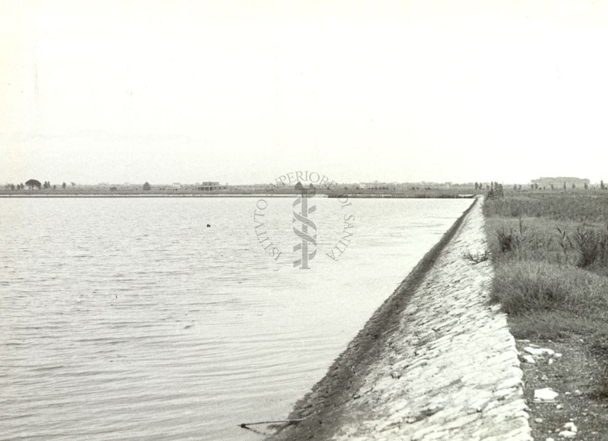 Lago di Fogliano