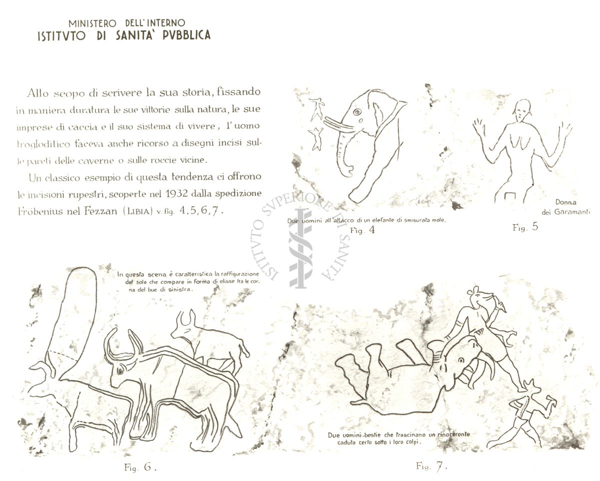 Ciclo evolutivo dell'abitazione umana.