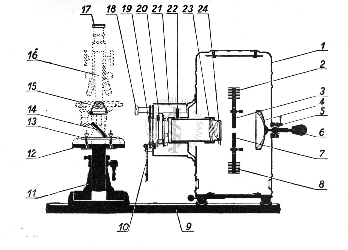 Microscopio fluorescente: schema del microscopio fluorescente secondo Reichert