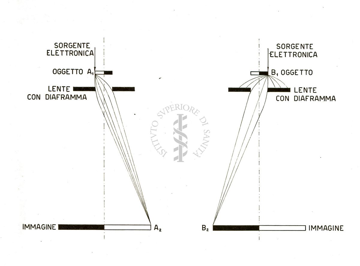 Schema dei raggi nel microscopio elettronico e nel micros