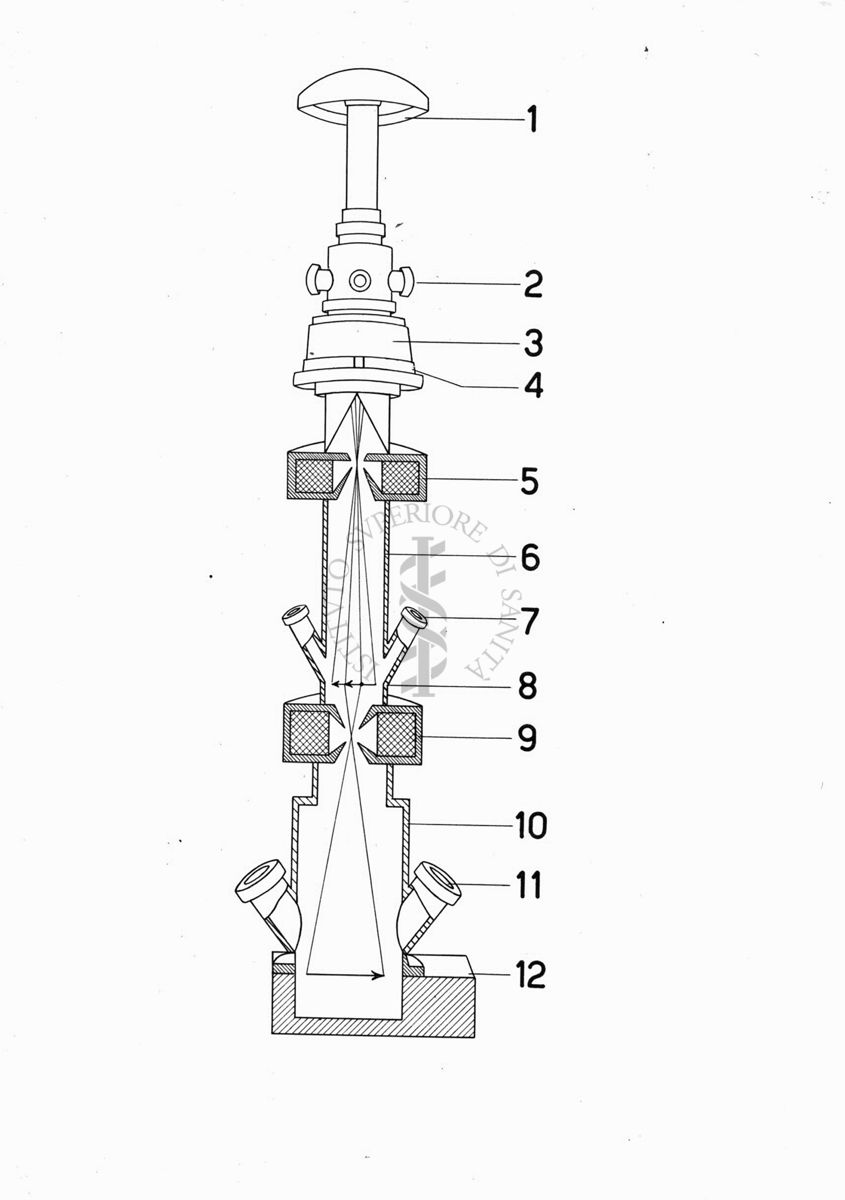 Disegno schematico del microscopio