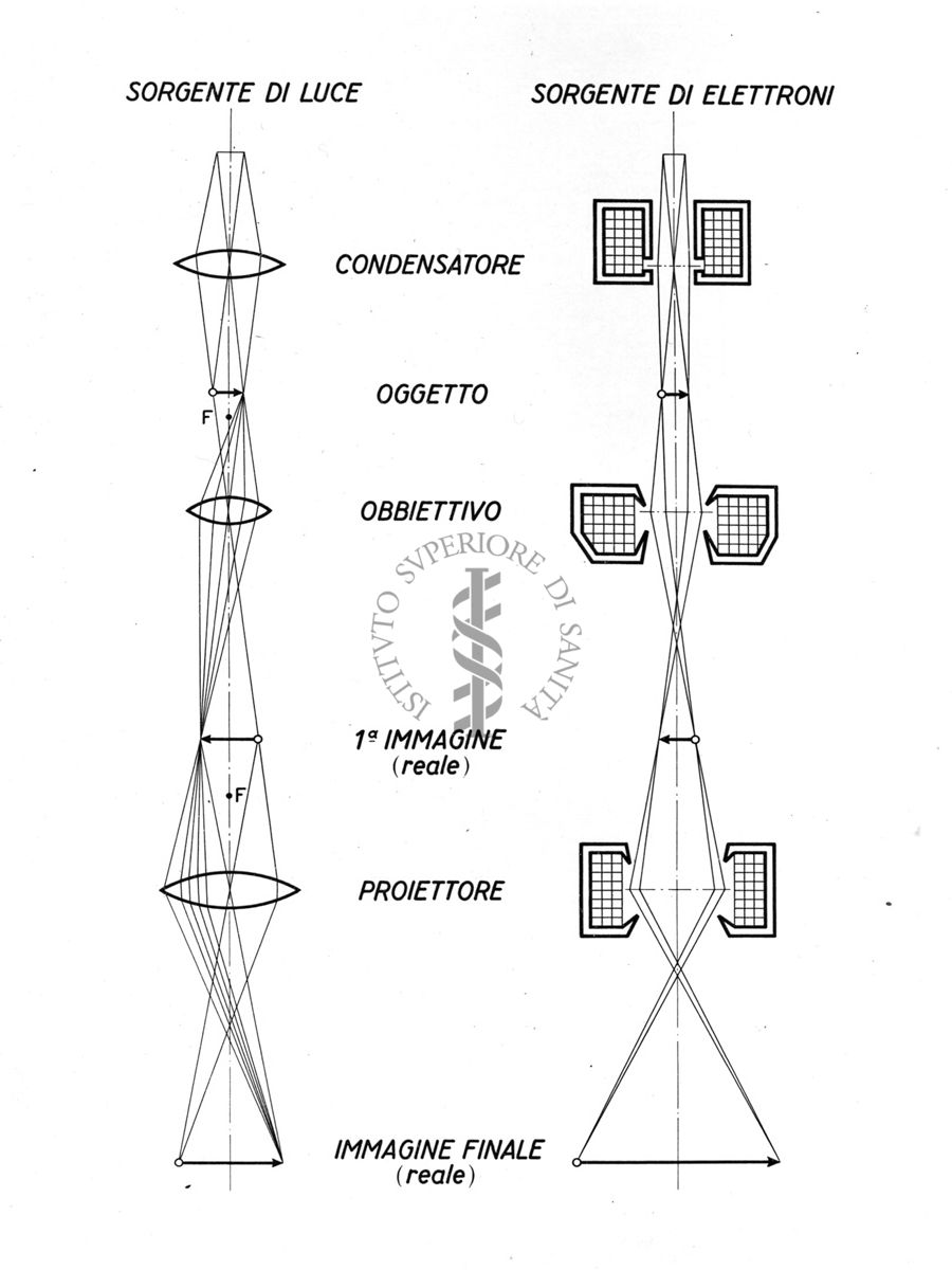 Schema dei raggi nel microscopio elettronico e nel micros