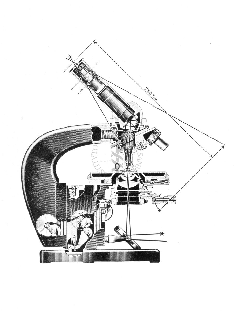 Sezione longitudinale di un microscopio