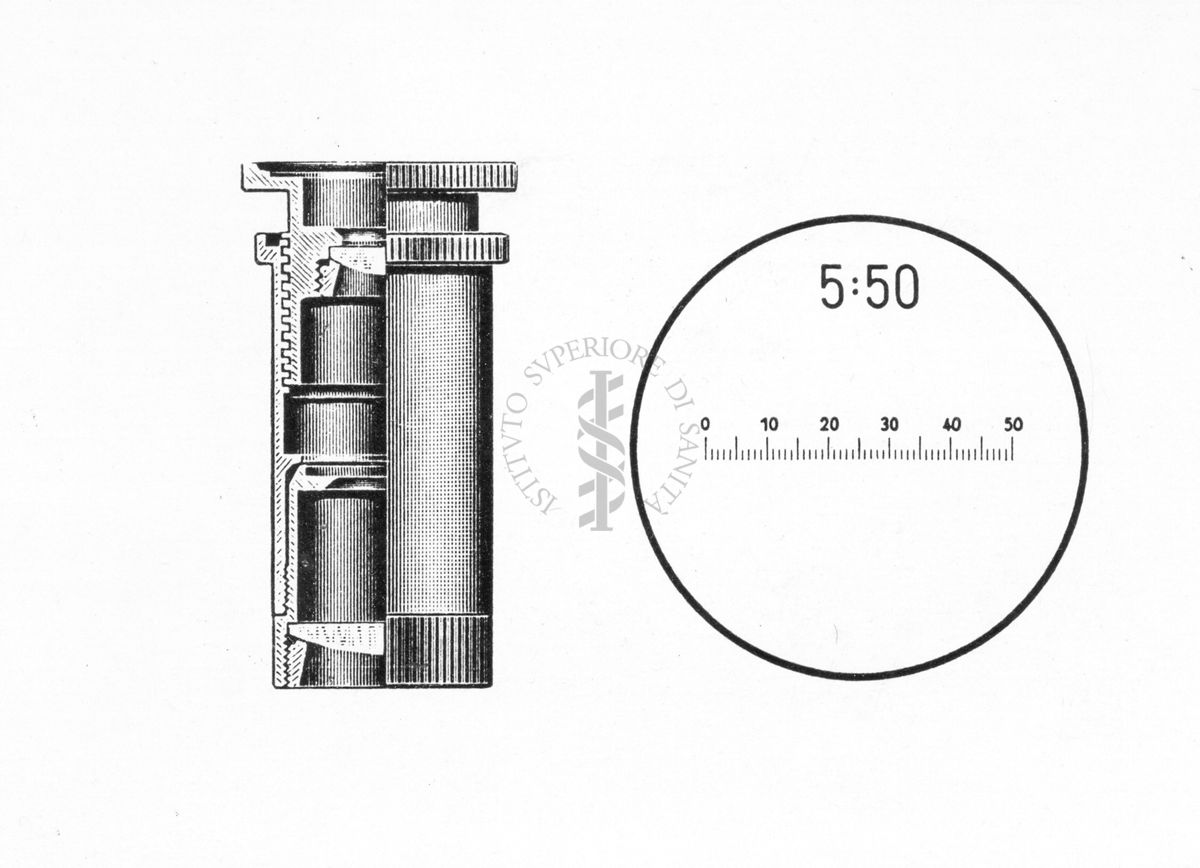 Micrometro oculare