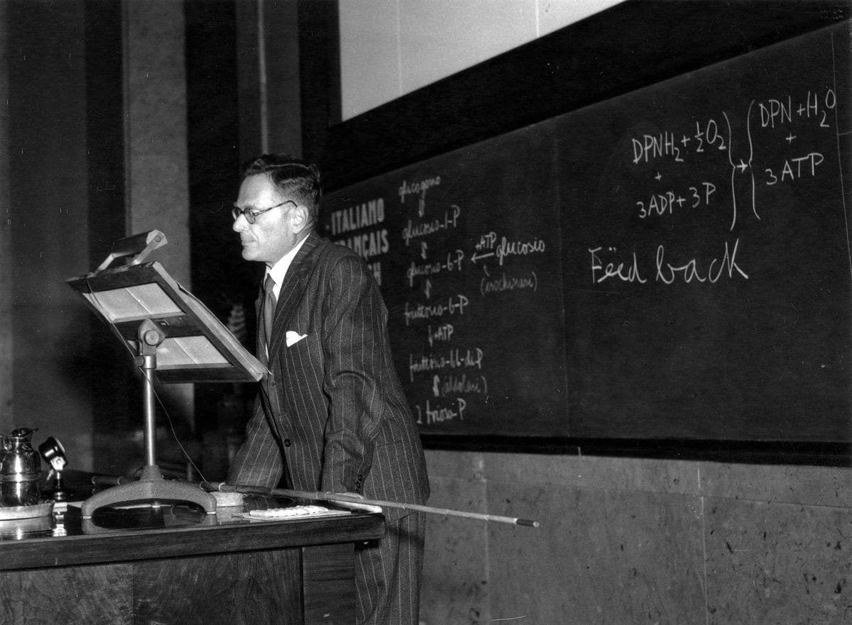 Il Prof. Hans Adolf Krebs mentre tiene una lezione nell'aula magna dell'Istituto Superiore di Sanità.