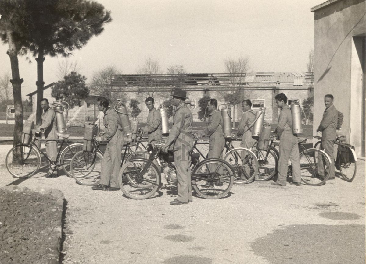 Squadra attrezzata di biciclette per la disinfestazione con D.D.T., fotografata di profilo