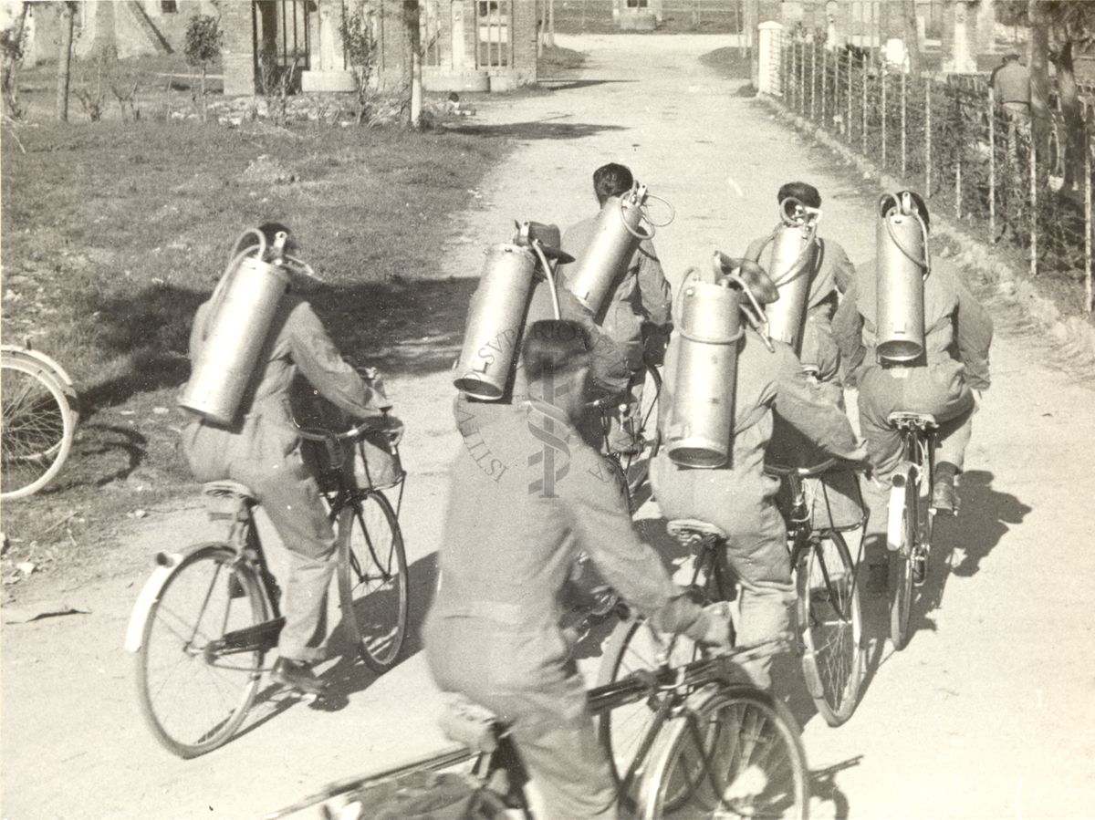 Una squadra di disinfestatori con il D.D.T., su biciclette e fotografata di spalle, si avvia al lavoro