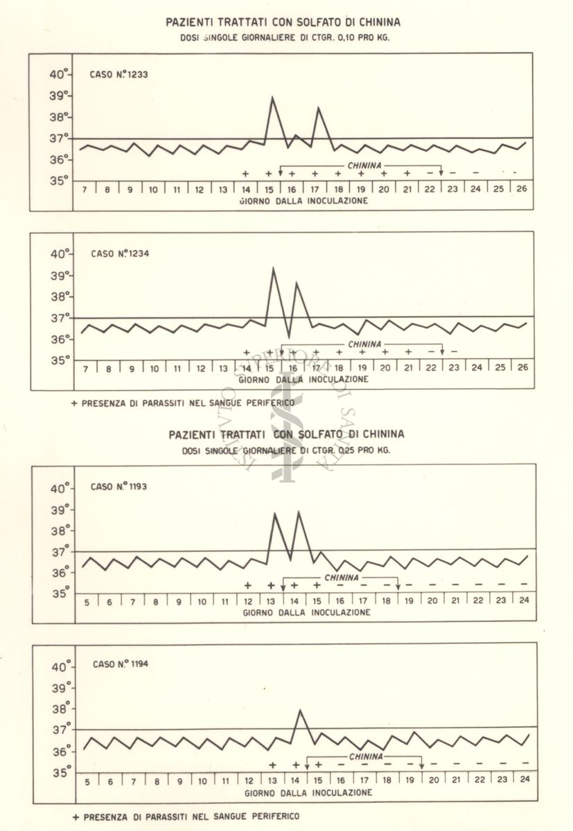 Sequenza di 4 grafici di pazienti trattati con Solfato di Chinina, con dosi singole giornaliere di ctgr 0,10 e 0,25 pro Kg