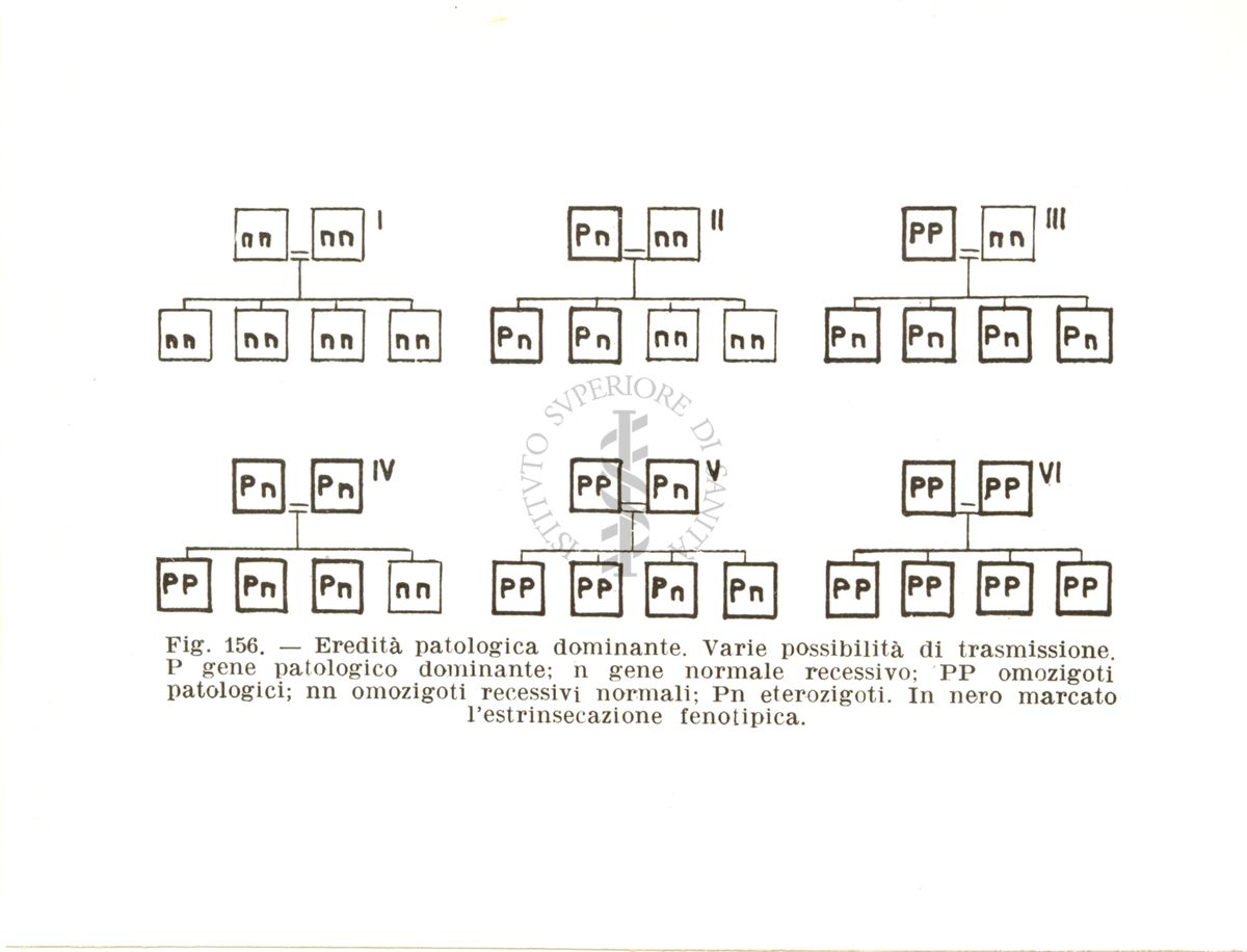 Schema sull'eredità