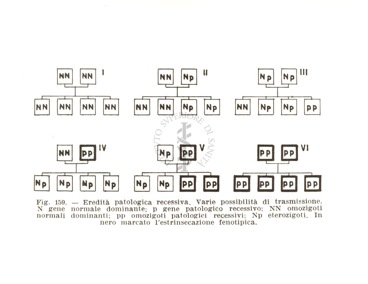 Schema sull'eredità