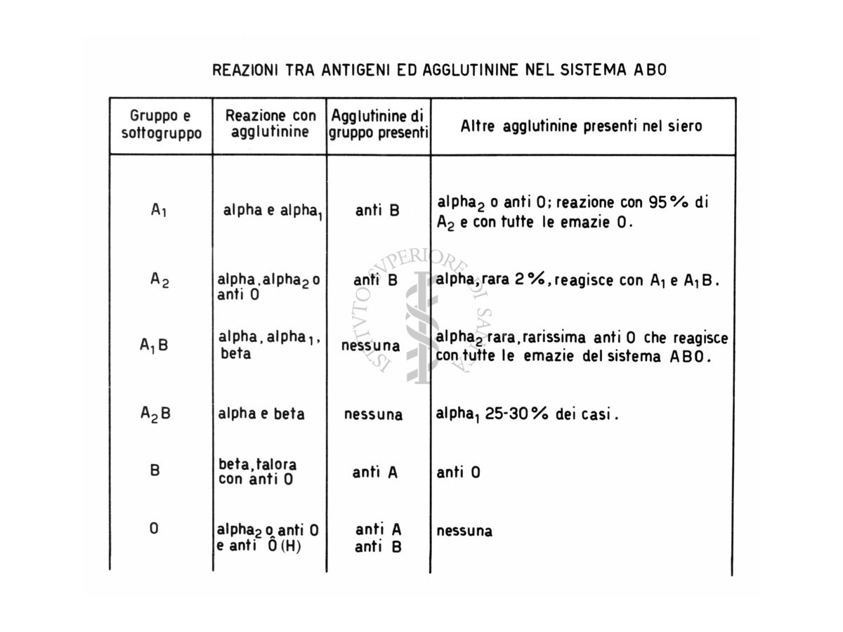 Reazioni tra antigeni ed agglutinine nel sistema A.B.O.