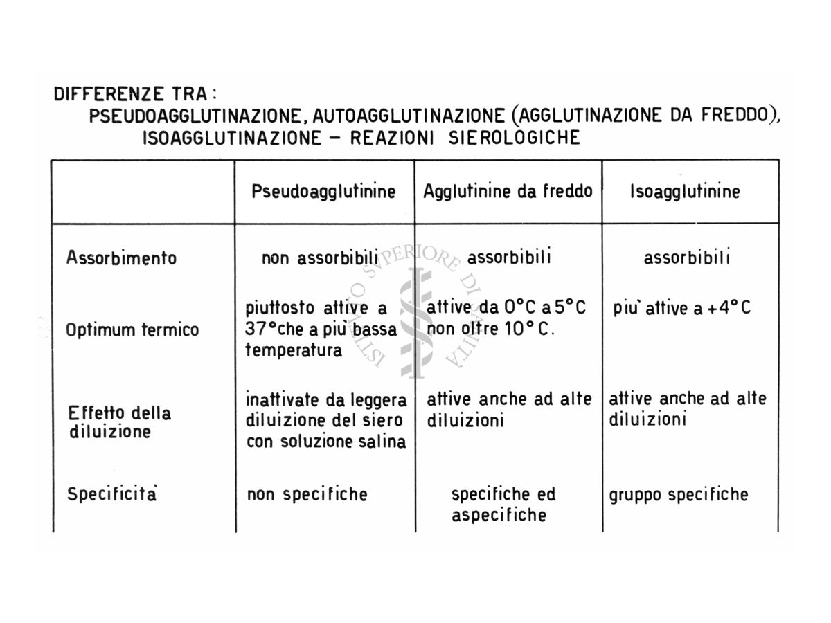 Differenza tra: Pseudoagglutinazione, Autoagglutinazione (agglutinazione da freddo) Isoagglutinazione - reazioni sierologiche