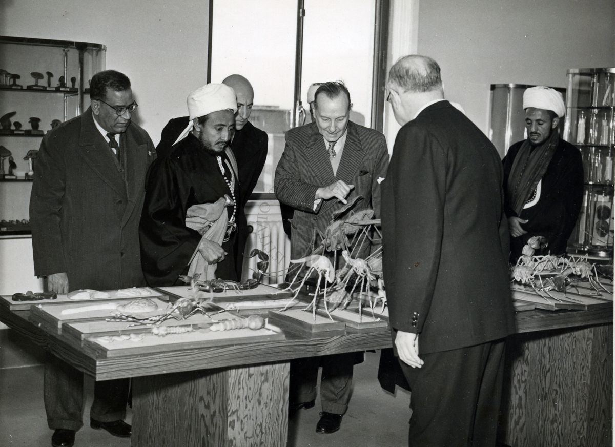 Il Vicere dello Yemen (a sinistra) osserva alcuni elementi del museo dell'Istituto Superiore di Sanità illustrati dal Dr. Massimo Pantaleoni (a destra) e dal Prof. Domenico Marotta (di spalle).