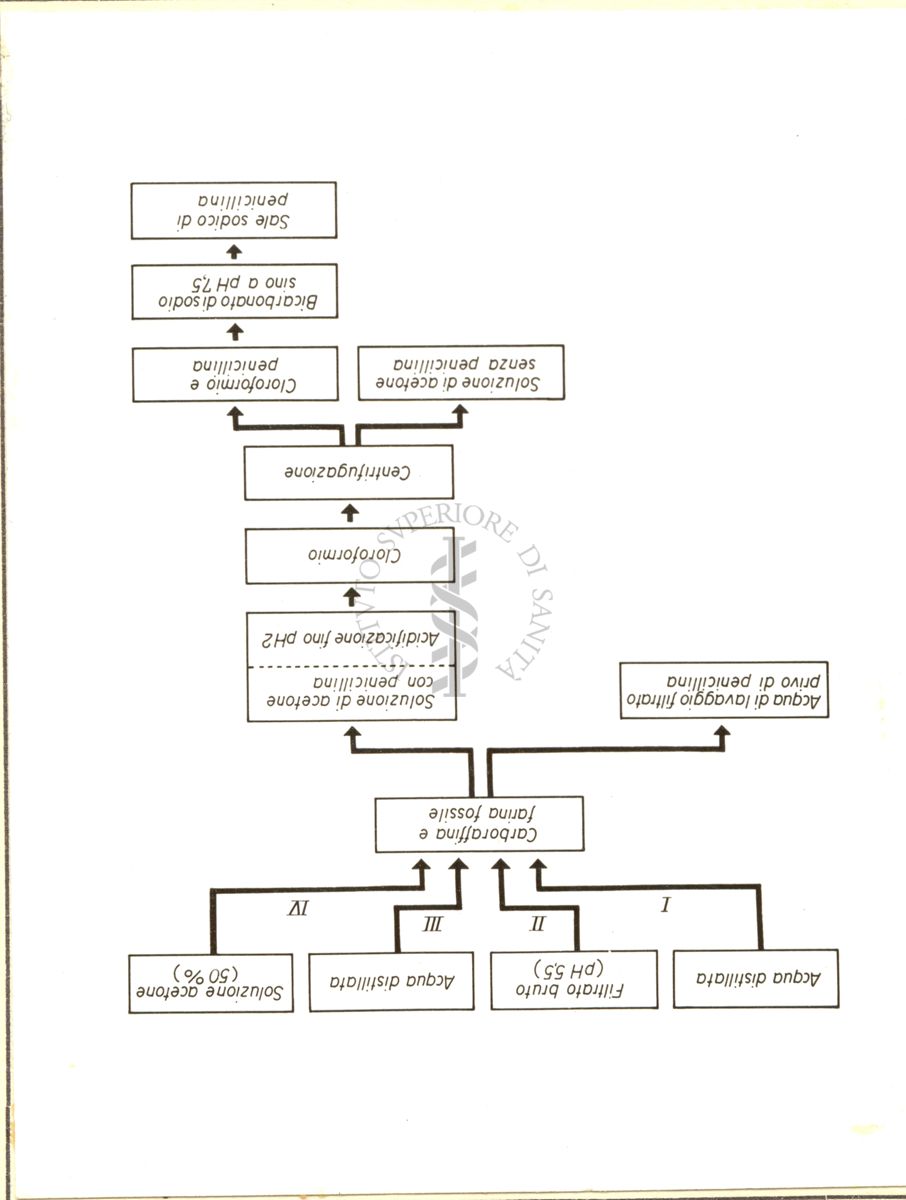 Metodo di estrazione della Penicillina (carbone attivo)