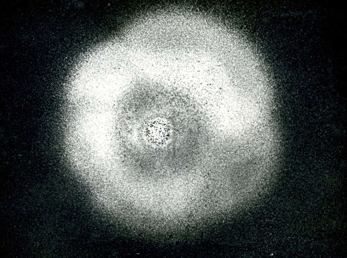 Immagine al microscopio di Placca fagica del fago pellegrino