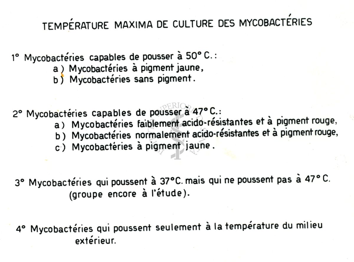 Tavola che illustra la temperatura massima di coltura di micobatteri