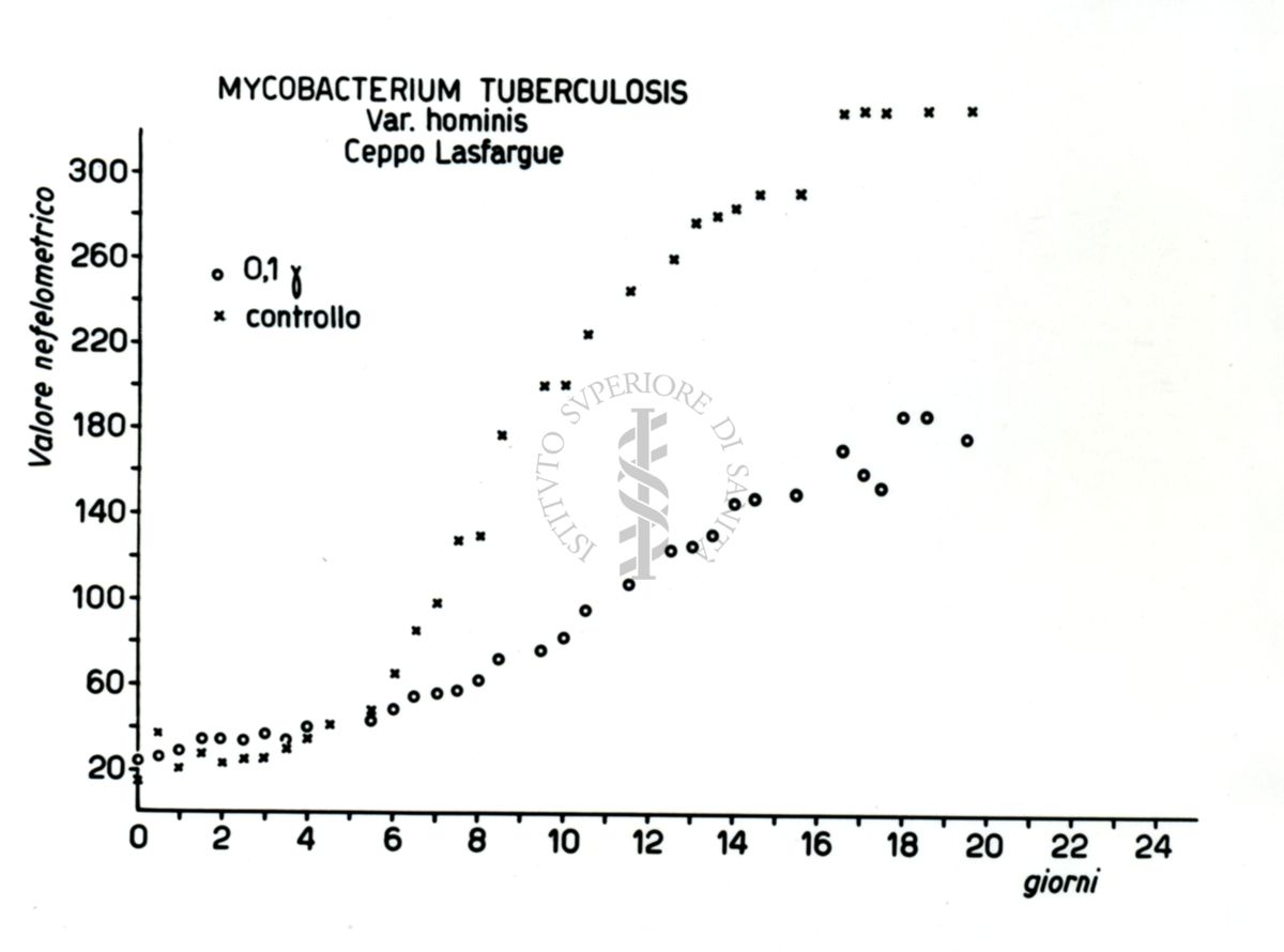 Tabella riguardante le curve di crescita del mycobacterum tuberculosis Ceppo Lasfargue