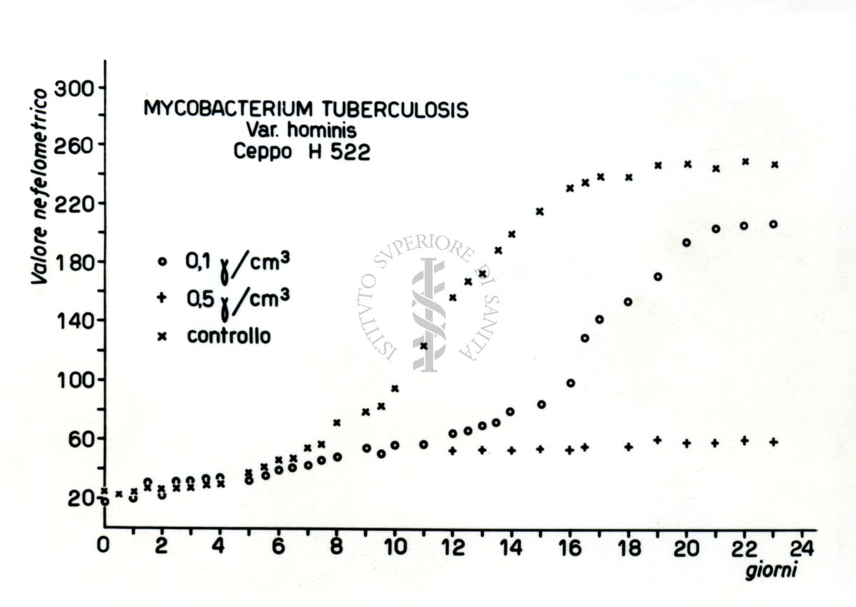 Tabella riguardante le curve di crescita del mycobacterum tuberculosis Ceppo H 522