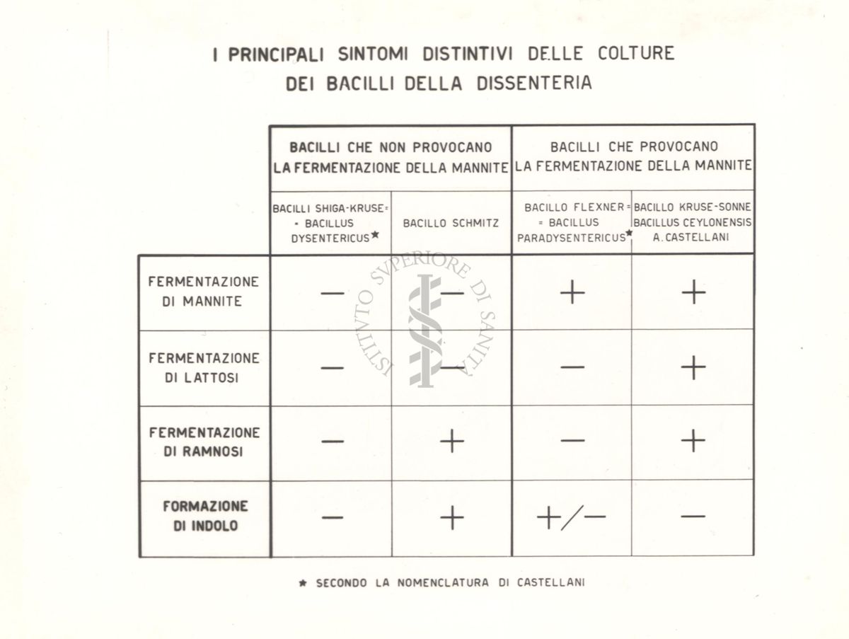 Grafico sui principali sintomi distintivi delle colture dei bacilli della dissenteria