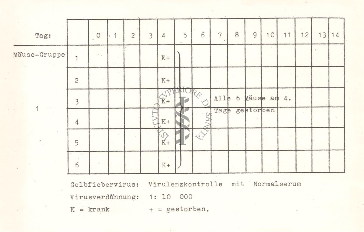 Tabelle riguardanti la mortalità nei topi per malattie da virus