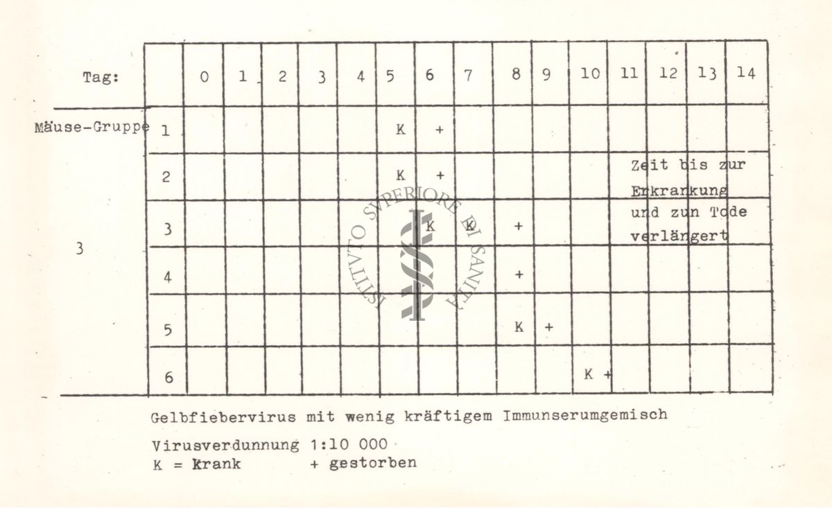 Tabelle riguardanti la mortalità nei topi per malattie da virus