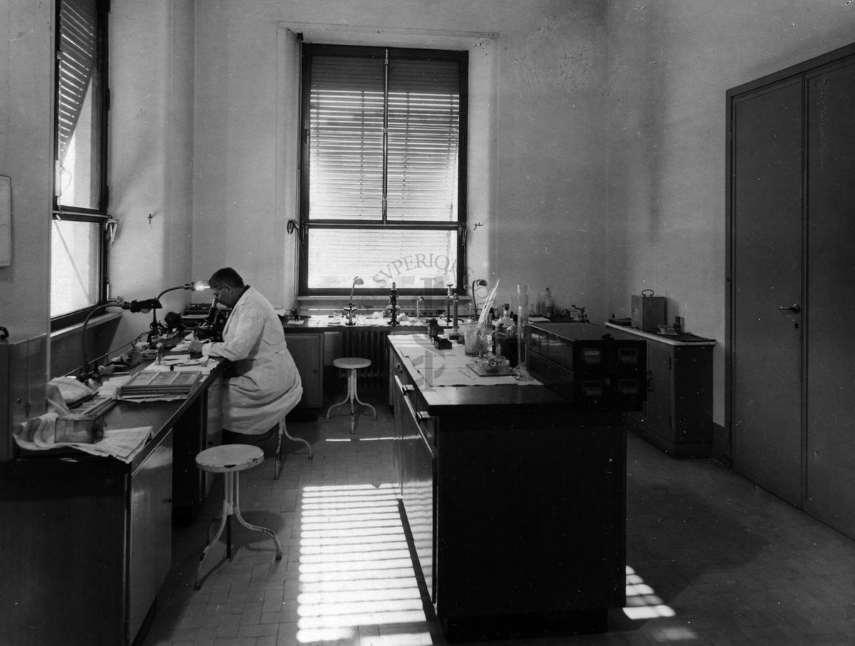 Immagine relativa alla stanza di lavoro del Capo del Laboratorio di Malariologia dell'Istituto di Sanità Pubblica